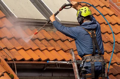 Démoussage et hydrofuge de toiture à Biziat